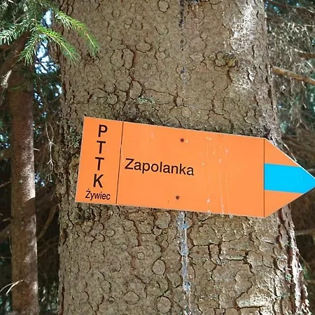 Chata Zapolanka Ujsoły Zewnętrze zdjęcie